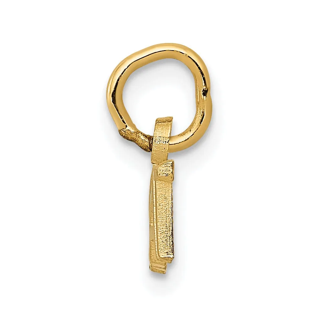 14k Yellow Gold Polished Brat Charm Pendant