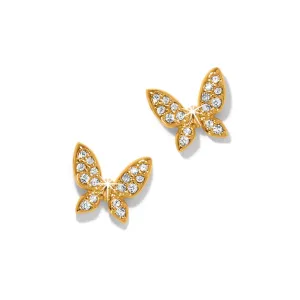 [Brighton] Enchanting Butterfly Post Earrings - Gold