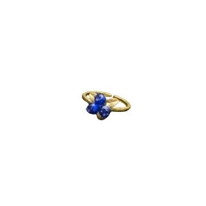 Petite Blueberry Ring