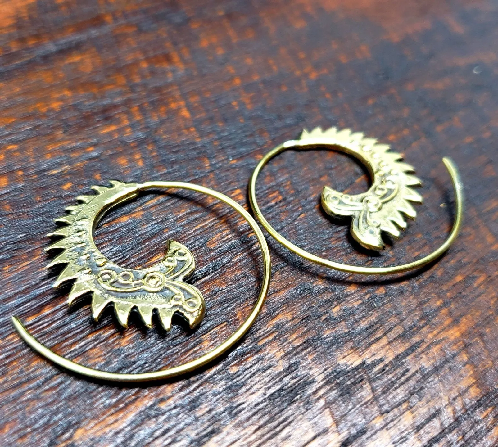 Prehistoric Loop Earrings