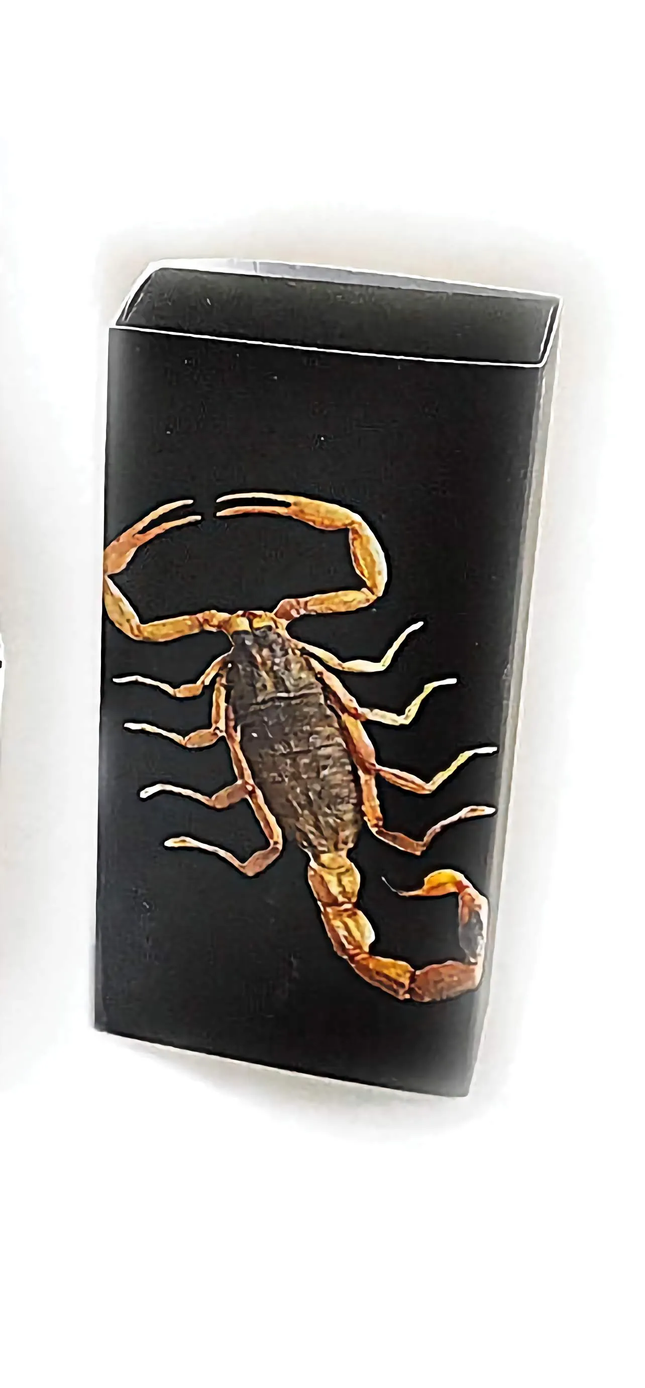 Real Black Scorpion Bracelet Amber Real Nature Gift