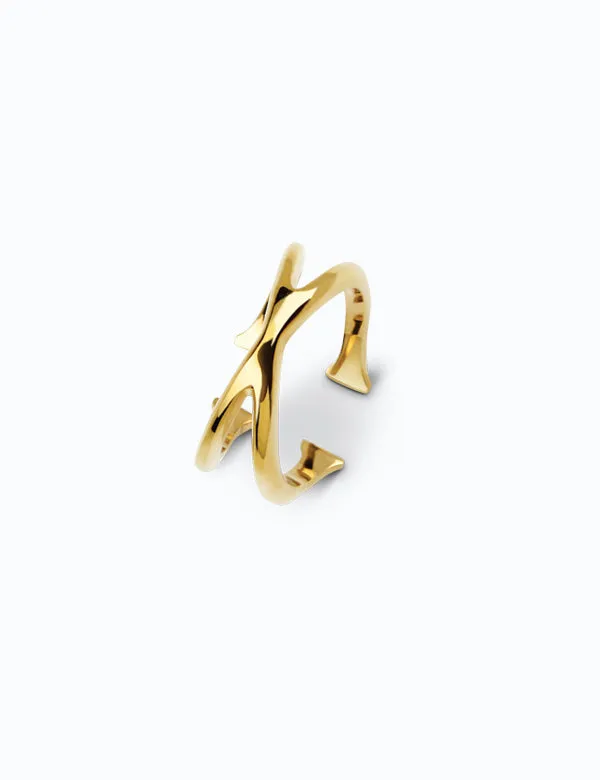 Unwritten Ring