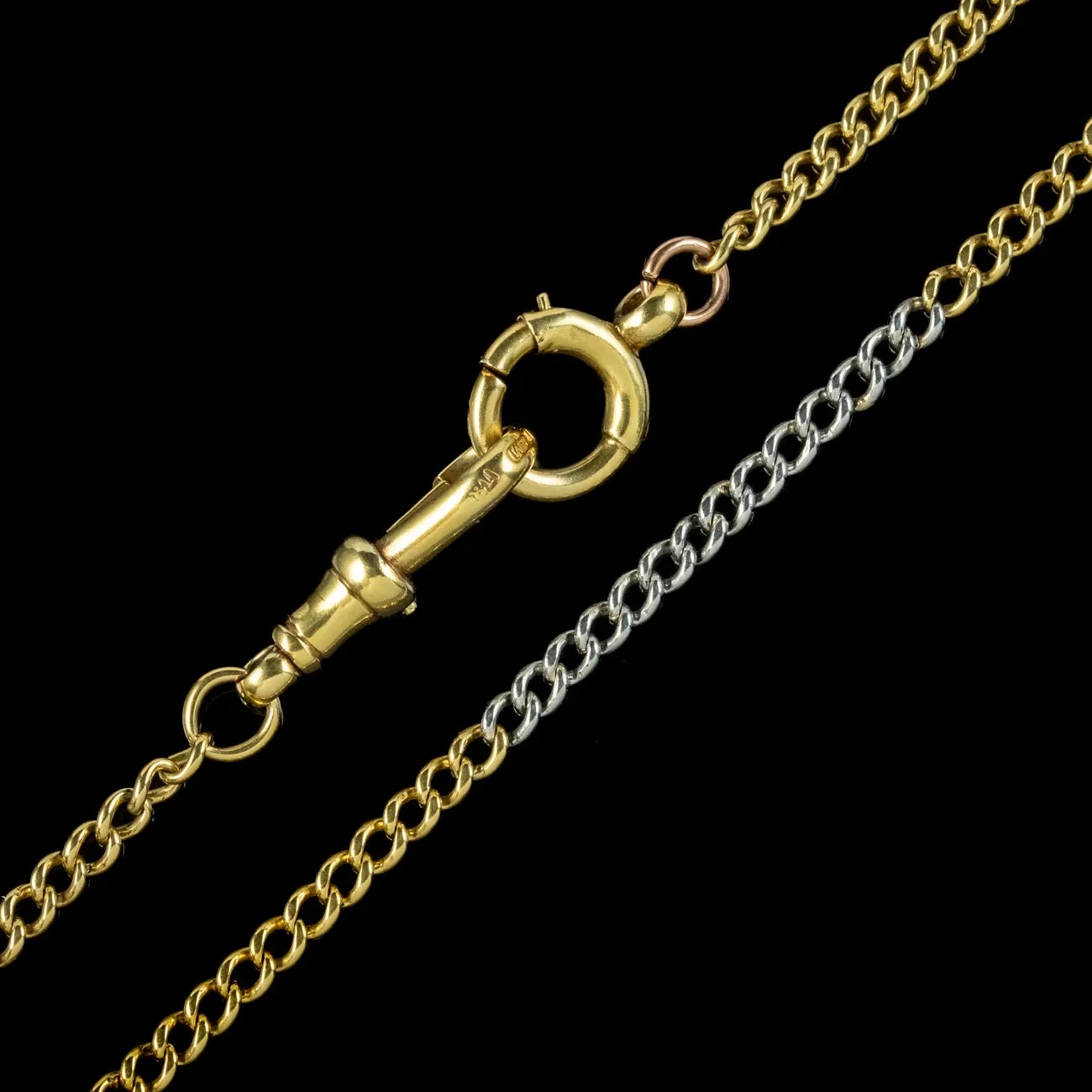 Vintage Albert Chain Necklace Two Tone 18ct Gold Platinum